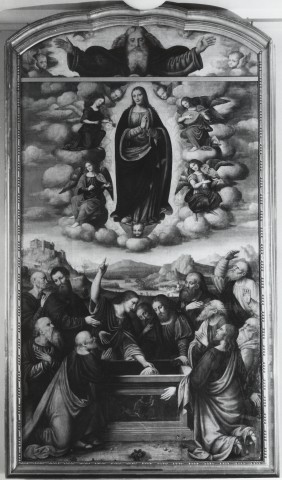 Muzeum Narodowe w Warszawie — Marco d'Oggiono - sec. XVI - Assunzione della Madonna — insieme